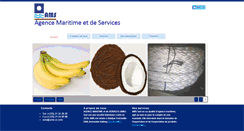 Desktop Screenshot of ams-ci.com