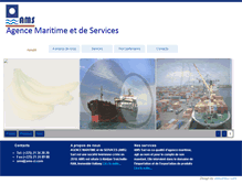 Tablet Screenshot of ams-ci.com
